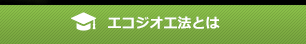 エコジオ工法とは