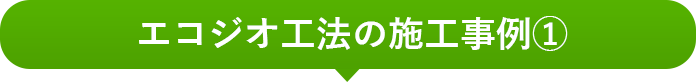 エコジオ工法の施工事例①